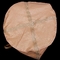 Cimento Scalpings Ton Bag Aggregate Polypropylene 1000kg de Brown